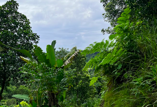 Screenshot 2025-06-09 140728